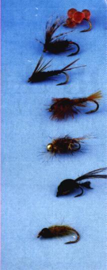 Wet flies